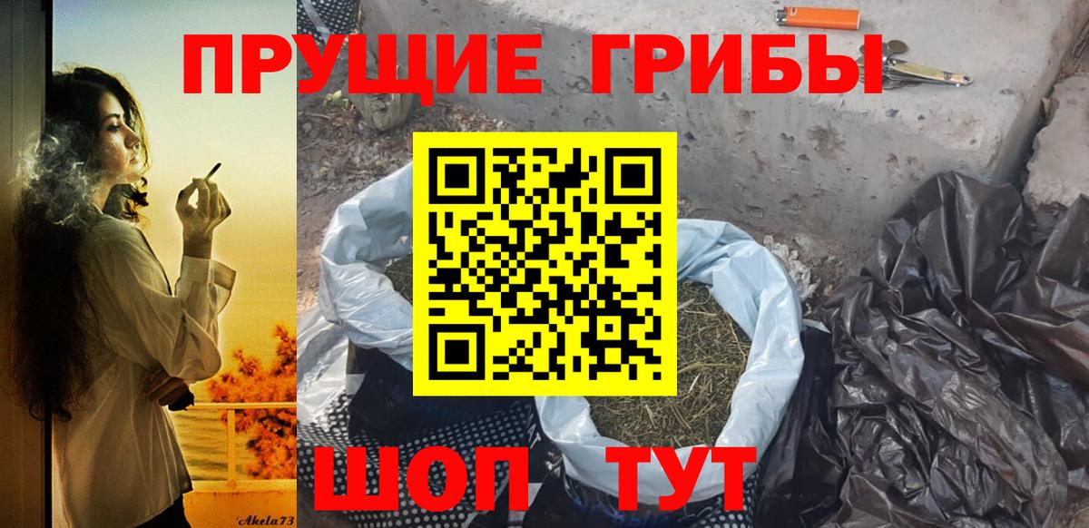 Псилоцибиновые грибы Psilocybe  Псилоцибиновые грибы ЛСД  Каменск-Шахтинский  Вход с VPN 